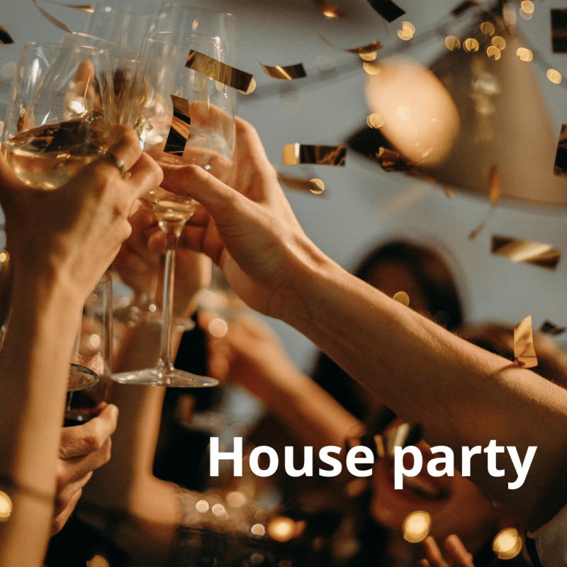 House party bedýnka | Alkohouse.cz